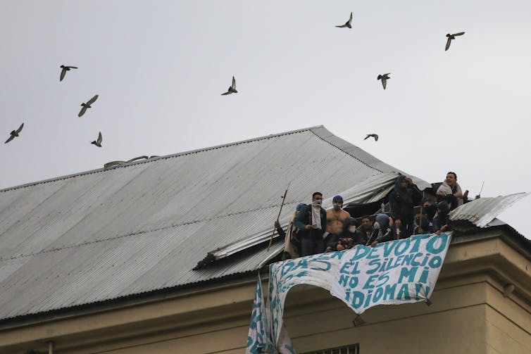 Prisoners riot on the roof of a prison as bird fly overhead.