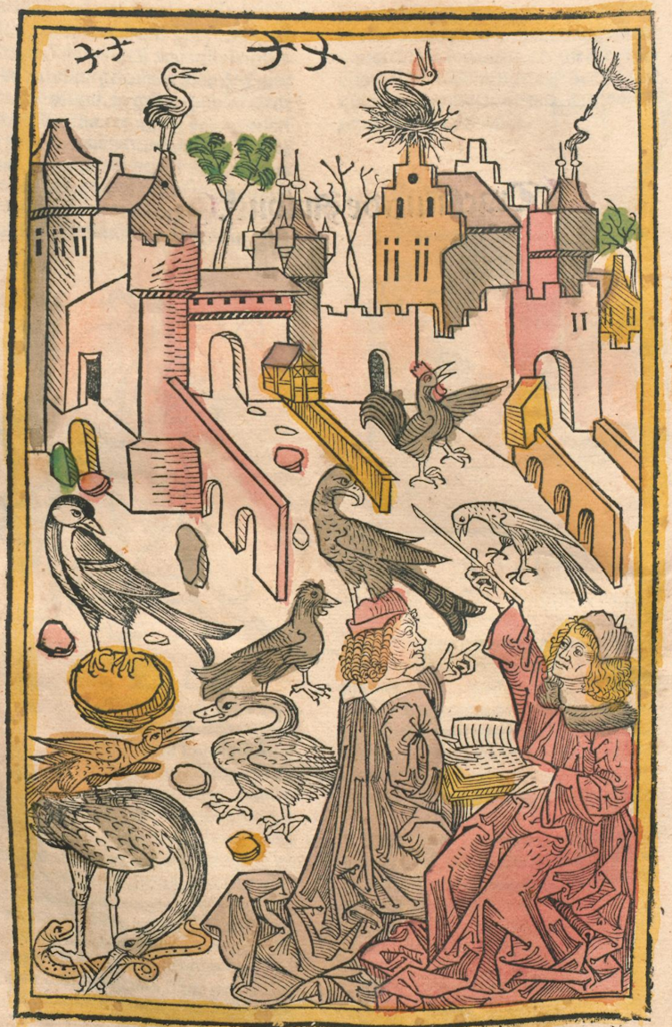 An engraving depicting a medieval city skyline filled with large birds.