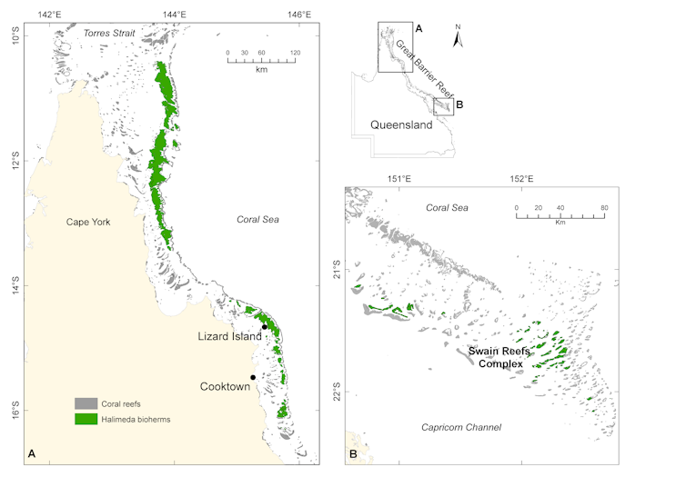 Several maps showing the location of the _Halimeda_ bioherms.