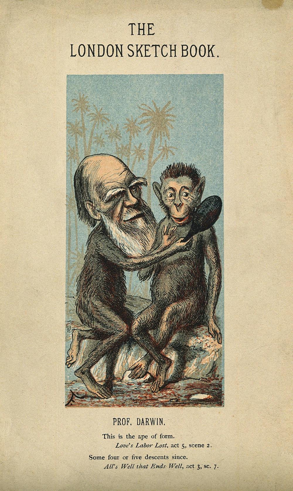 Guide To The Classics Darwin S The Descent Of Man 150 Years On — Sex Race And Our Lowly Ape