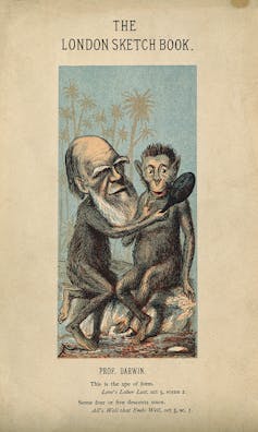 Charles Darwin, as an ape, holds a mirror up to another ape.