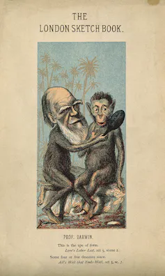 Charles Darwin, as an ape, holds a mirror up to another ape.