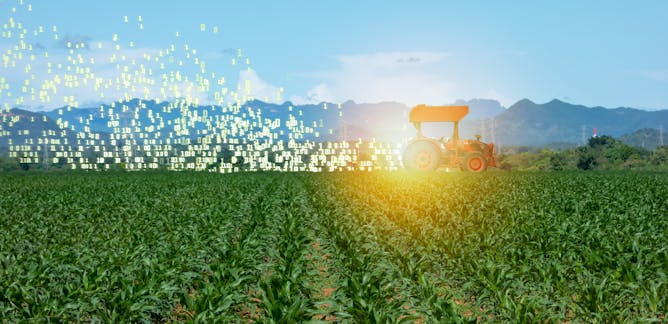 Agriculture Biologique News Research And Analysis The Conversation Page 1 Agriculture Biologique News Research And Analysis The Conversation Page 1