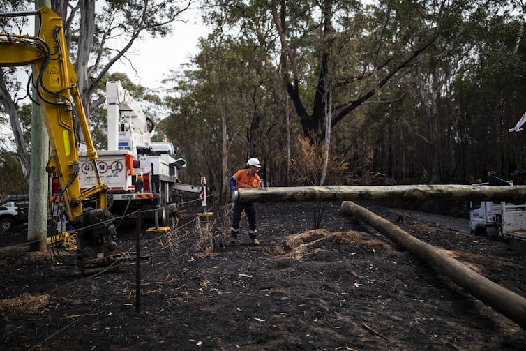 A man in a high-vis top holds a pole in blackened bushland.
