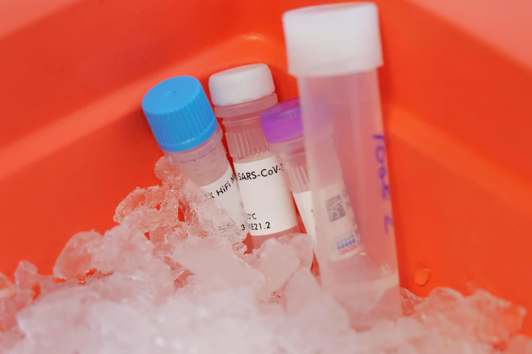 Coronavirus samples sit in an ice bucket ready to be sequenced and analysed.