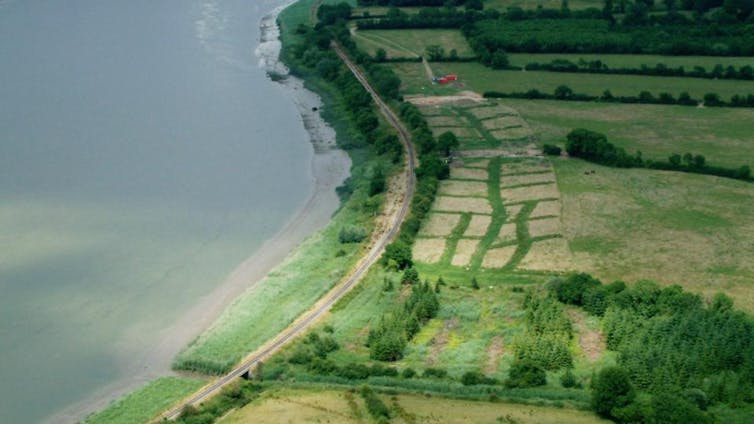 Excavation of viking camp in Woodstown, Ireland