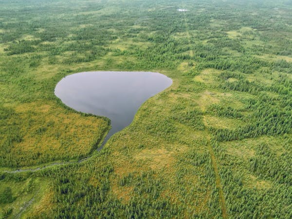 Aerial view of wetlands surrounding a small lake