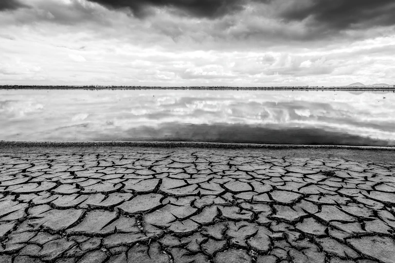 cracked saltmarsh