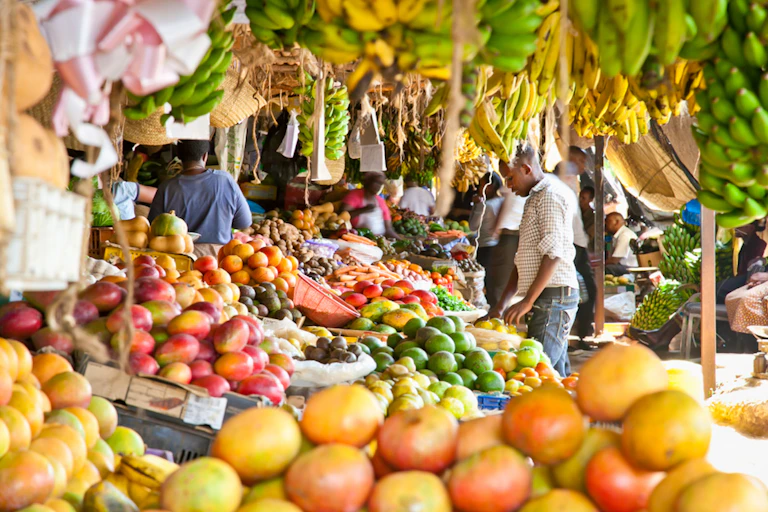 Homme sur un marché regardant des fruits frais.