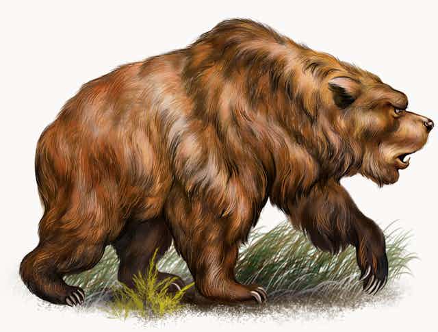 Illustration of a cave bear walking on grass.