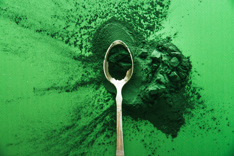 Cuchara con polvo de espirulina.