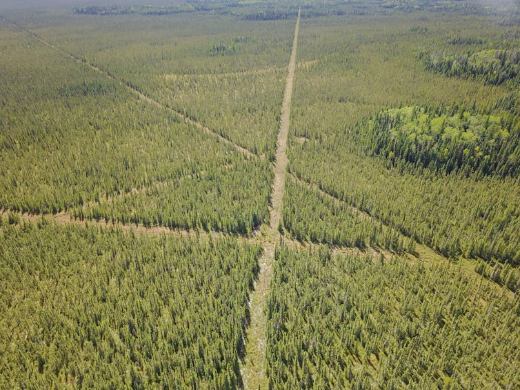 open linear features are methane hotspots