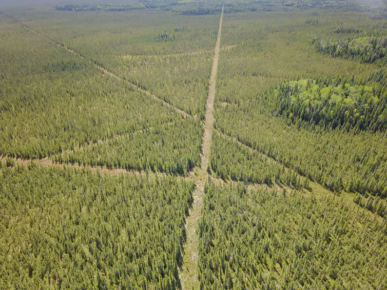 open linear features are methane hotspots