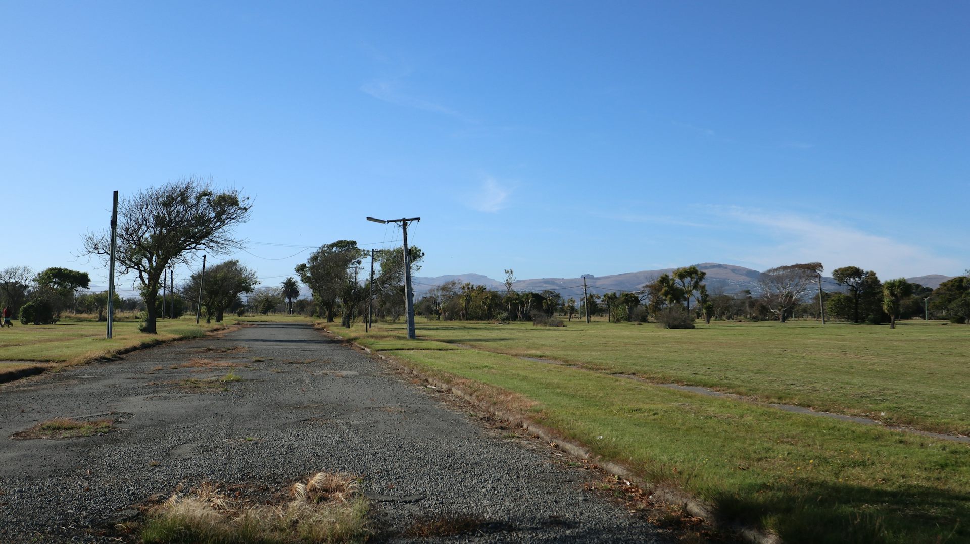Empty and overgrown road and fields