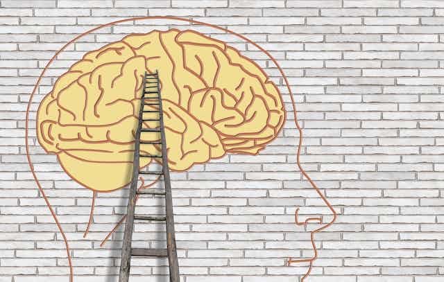 Illustration of a brain with a ladder leaning against it