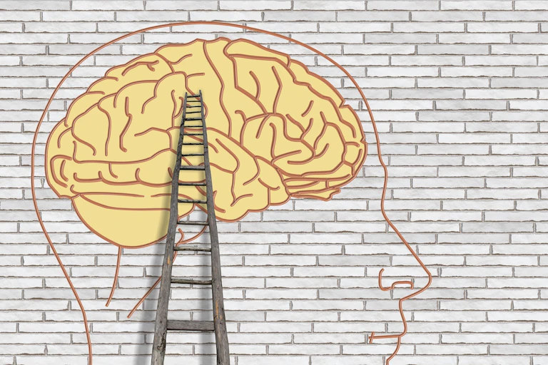 Illustration of a brain with a ladder leaning against it