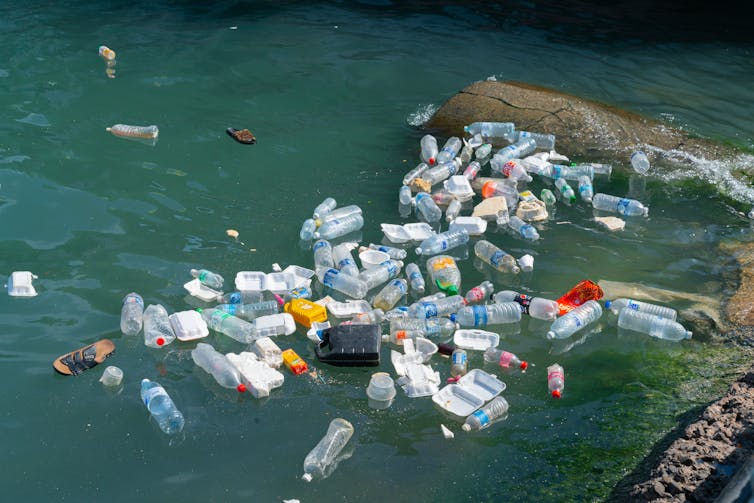 Plastic bottles floating in an ocean harbour.