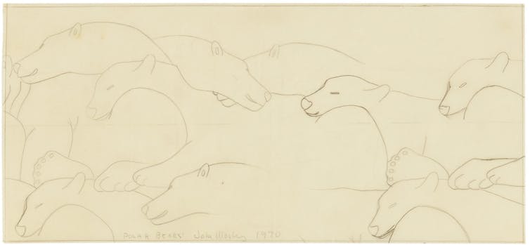 pencil drawings of polar bears