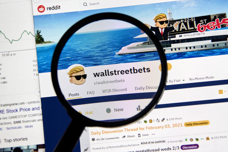 r/WallStreetBets under a magnifying glass