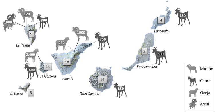 La ‘guerrilla’ de animales asilvestrados que amenaza los bosques canarios 19 file 20210227 23 19rjexh.png?ixlib=rb 1.1