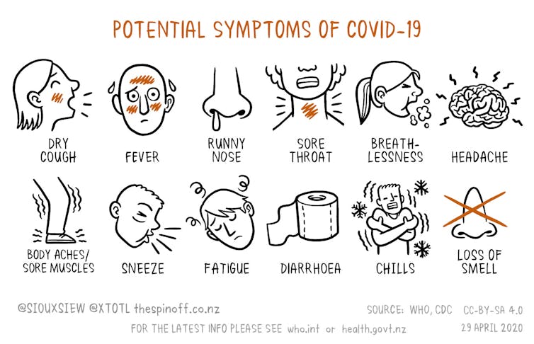 Widespread testing in Auckland now key to ruling out possible undetected COVID-19 outbreak