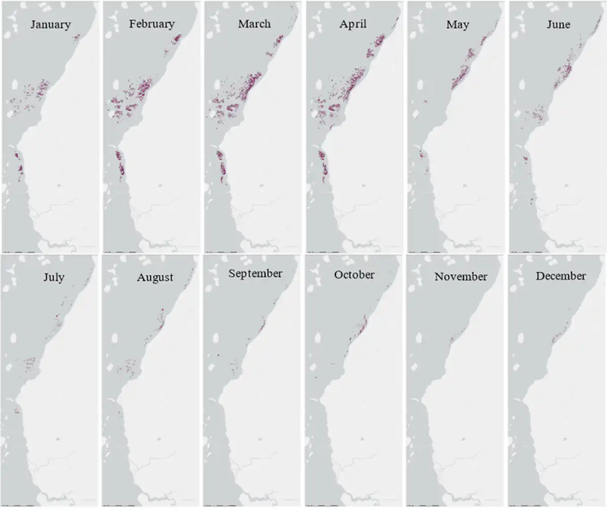 Area of seaweed planted along the mainland coast of Pangkep in each month of 2018. Our research