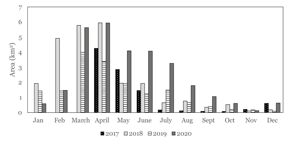 The area under seaweed cultivation in the period from May to August 2020 was much larger than in previous years.