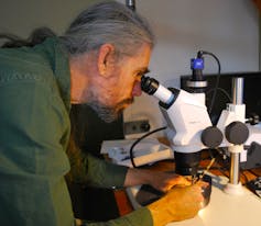 A man in a green shirt looks into a microscope