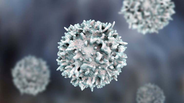 A 3D depiction of a lymphocyte – a spherical particle covered in irregular bumps.