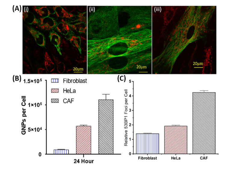 Gold nanoparticles in red against a green background of the tumour, with a bar graph showing uptake of the nanoparticles.