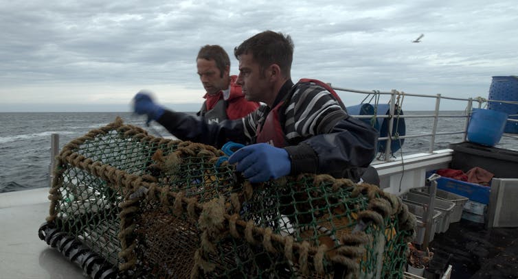 Two fishermen attend to a lobster boat aboard a boat.