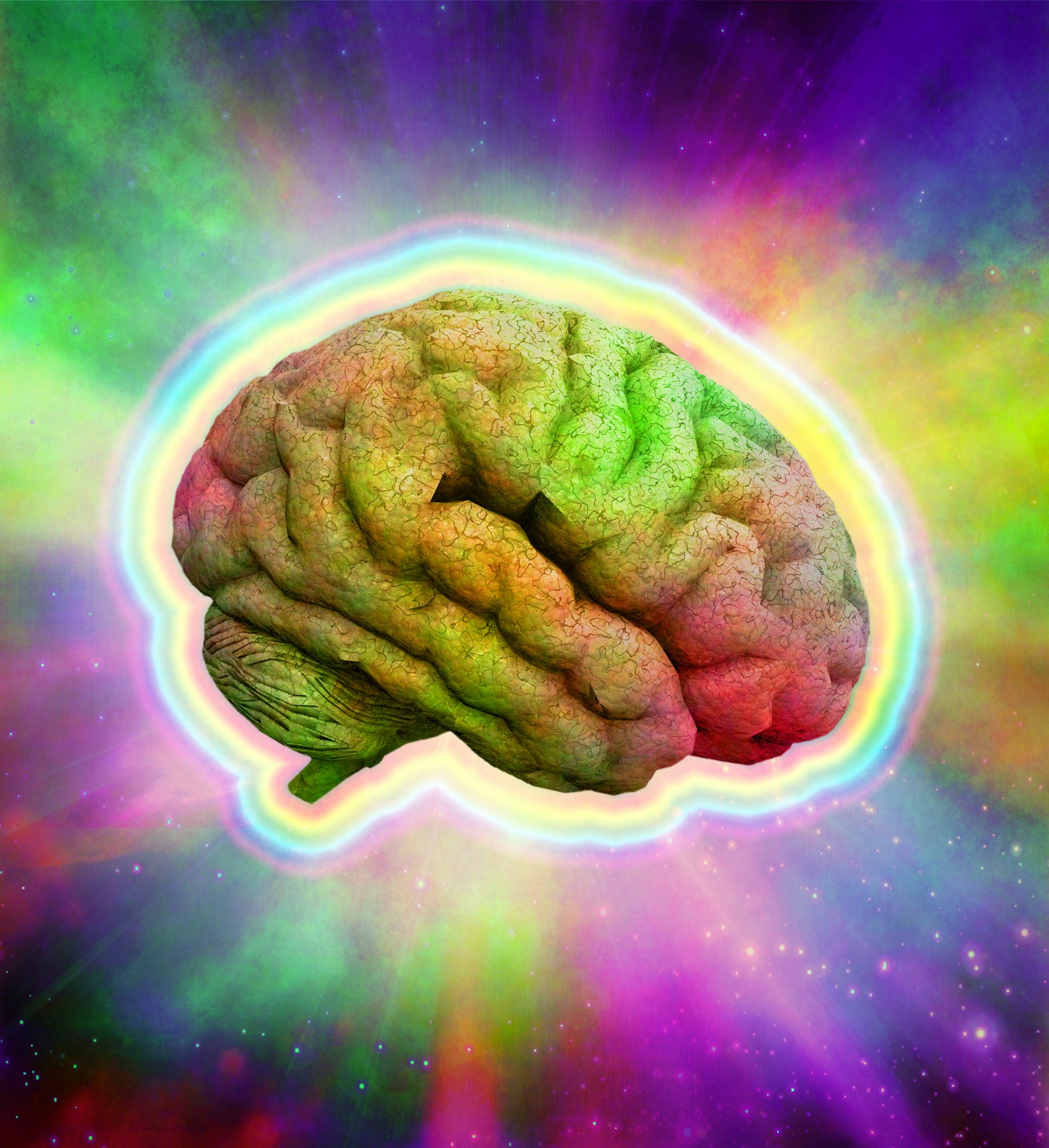 Psychedelic Drugs How The Brains Of Informed Users Are Different