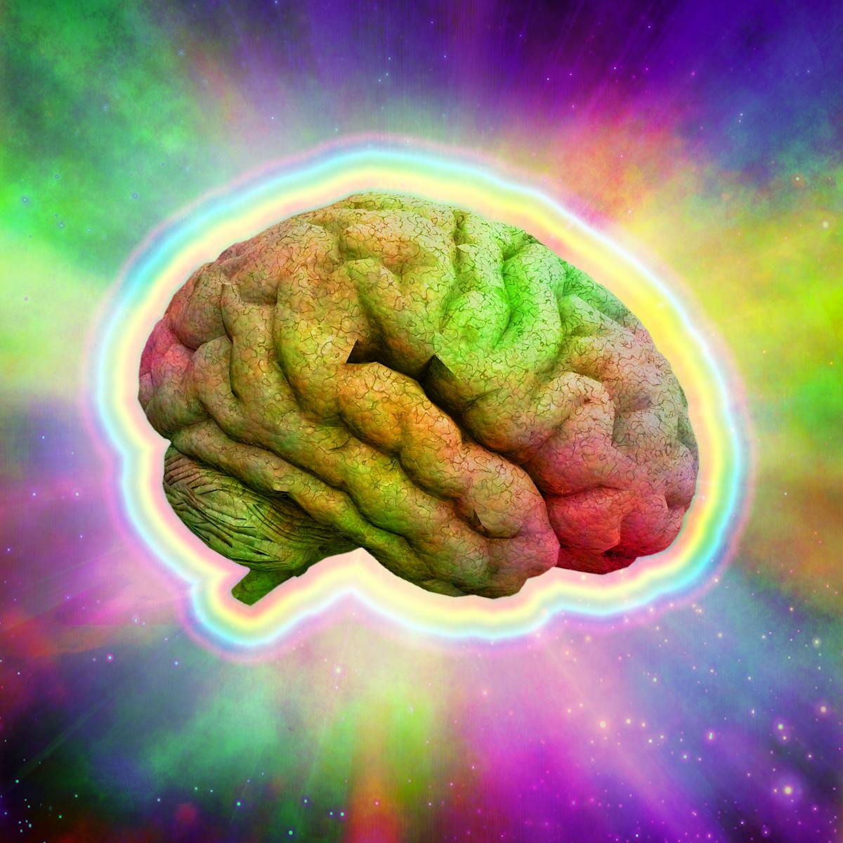 Psychedelic Drugs How The Brains Of Informed Users Are Different Psychedelic Drugs How The Brains Of Informed Users Are Different