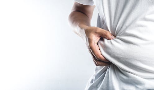 ¿Blanca, beige o marrón? No toda la grasa corporal es mala 7 file 20210303 19 1ypco46.jpg?ixlib=rb 1.1