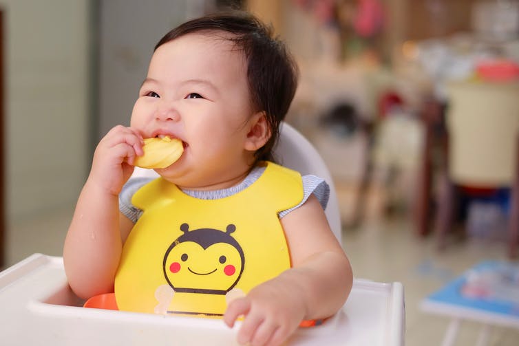 A baby eats a piece of fruit.