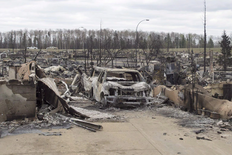 Burned trucks and cars surrounded by the remains of houses in a neighbourhood.