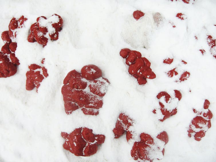 Instalación. Estatuillas en pasta de sal pintadas en rojo, implantadas en sal marina.