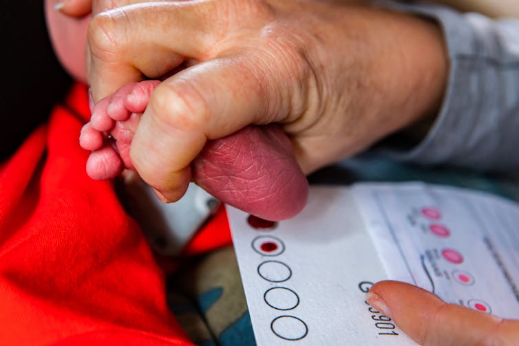 Newborn getting heel-prick test