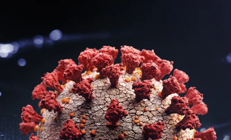 An image of the coronavirus.