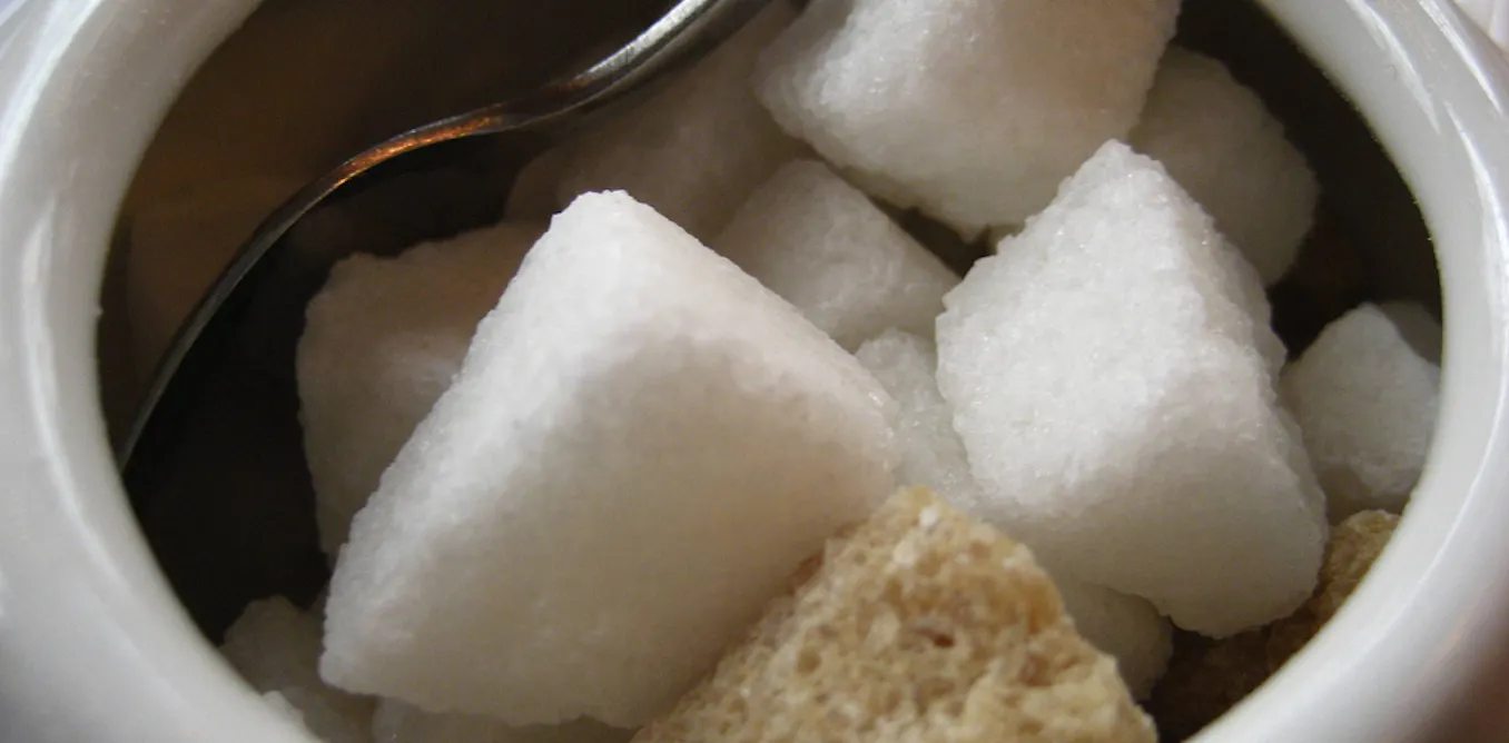 Sweet enough? Separating fact from fiction in the sugar debate