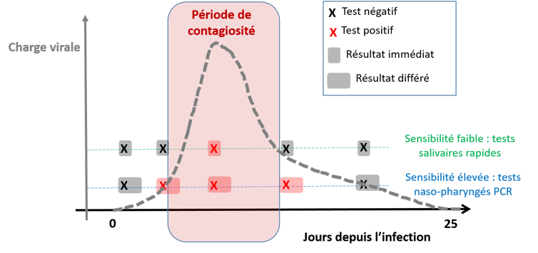 Figure 1 : Évolution de la charge virale au cours de l’infection et positivité des tests.