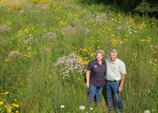 Couple stands amid meadow grasses and flowers