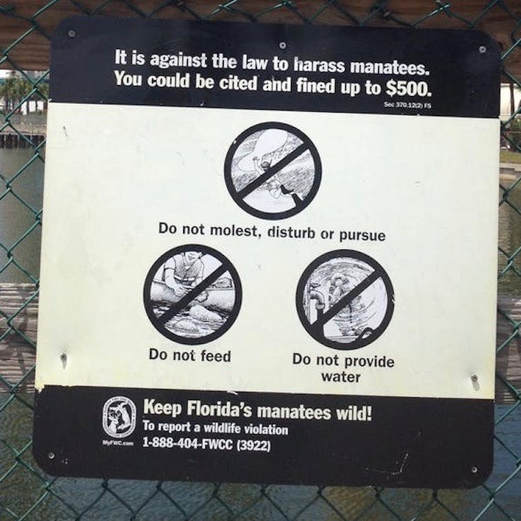 A sign telling people not to harrass manatees