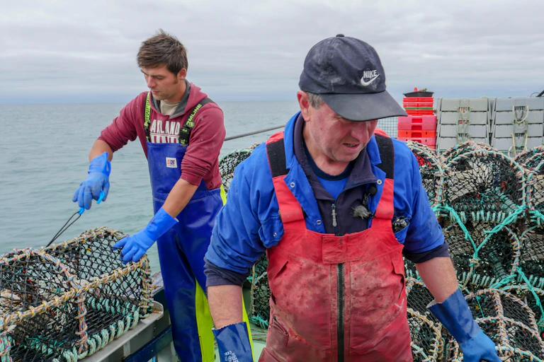 Two fishermen tend lobster traps on a boat.