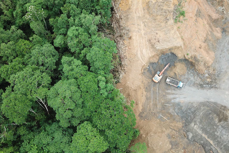 Aerial view of deforestation in the Bornean jungle.