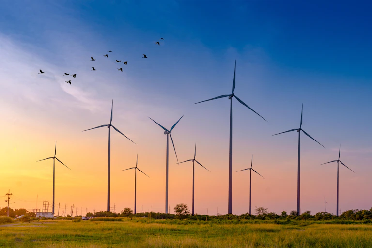 Wind turbines on land, colourful sky