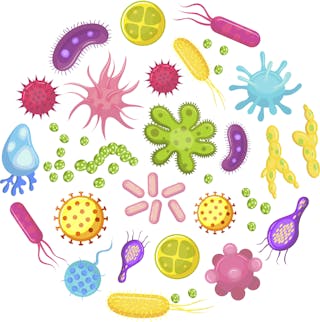 A Year Of Covid 19 Lockdown Is Putting Kids At Risk Of Allergies Asthma And Autoimmune Diseases A Year Of Covid 19 Lockdown Is Putting Kids At Risk Of Allergies Asthma And Autoimmune Diseases