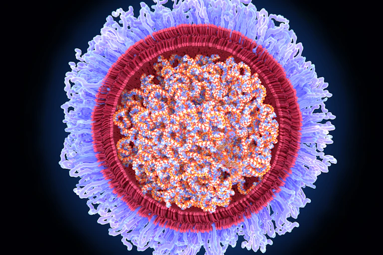 Strands of mRNA inside a lipid shell like in mRNA vaccines