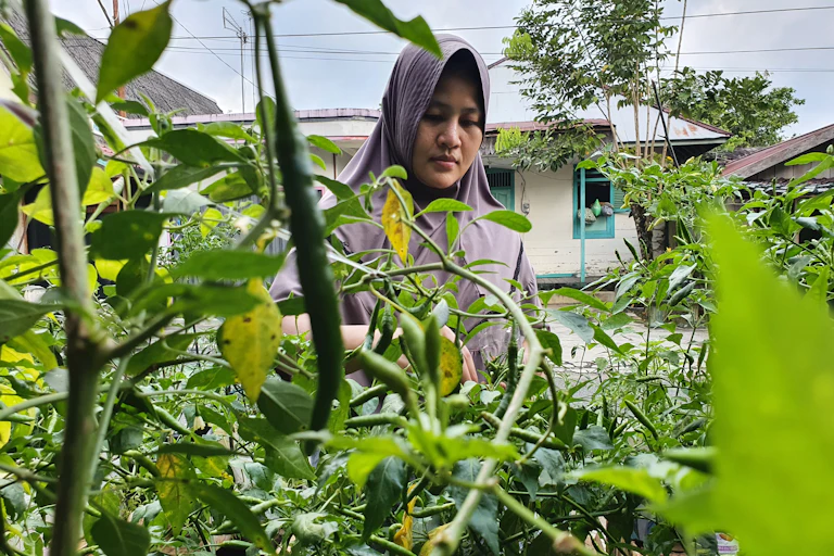 Migrant woman tends to garden