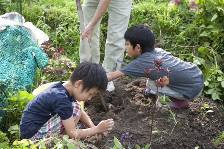 Young boys helping in garden